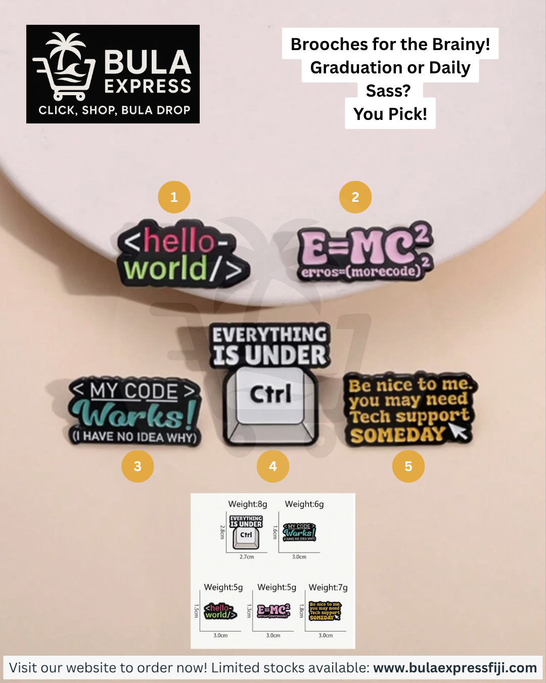 1 - Hello World Brooch